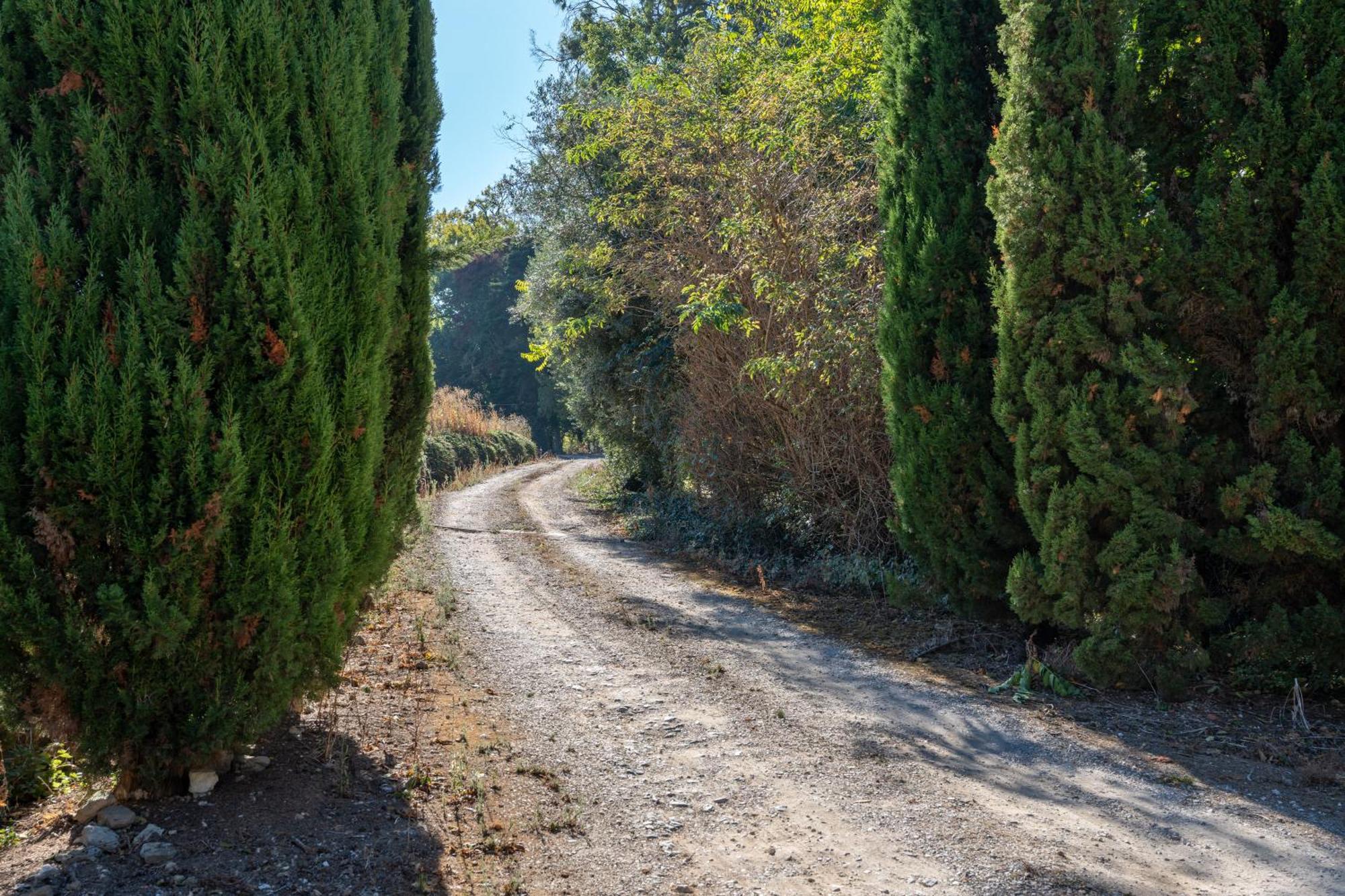 Вилла Cazal D'Oliveira Granja  Экстерьер фото